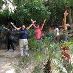qigong workshop